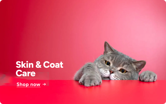 cat-tab-3