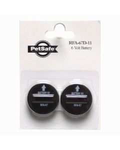 6 Volt Lithium Replacement Battery Module