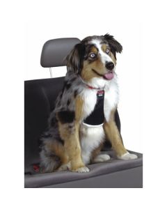 Coastal Easy Rider Car Harness 12 inch - 18 inch