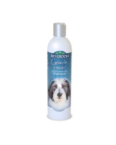 Bio-Groom Groom 'N Fresh Shampoo 12 oz.