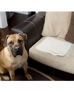 X Mat Pet Training Mat Extra