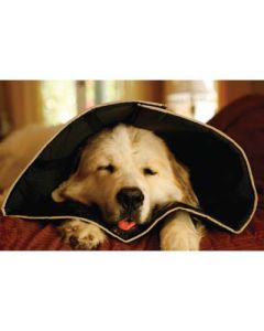 The Comfy Cone Large 13.5" - 16.5" Neck, Depth is 10"