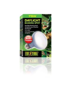 Exo Terra Daylight Basking Reptile Spot Lamp 75W 120V