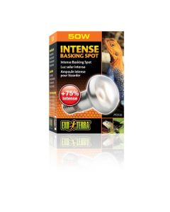 Exo Terra Intense Basking Reptle Spot Lamp 50W 120V