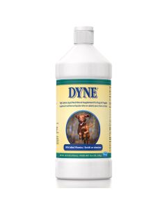 Dyne Supplement 16 oz.