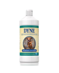 Dyne Supplement 32 oz.