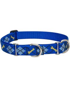 Lupine Dapper Dog Martingale Combo Collar 1" X 19"-27"