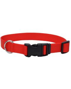 Coastal Adjustable Dog Collar with Plastic Buckle Red 3/8" x 8"-12"