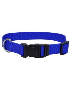 Coastal Adjustable Dog Collar with Plastic Buckle Blue 3/8" x 8"-12"