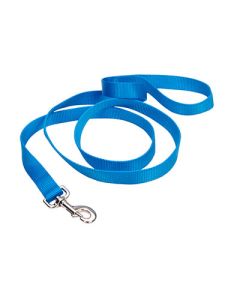 Coastal Single-Ply Dog Leash Blue Lagoon 1" x 6'