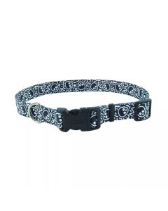 Coastal Adjustable Styles Dog Collar with Buckle Black Skull & Crossbones 3/4” x 14”-20”