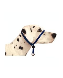 Premier Gentle Leader Headcollar Royal Blue Large 60 - 130 Lbs
