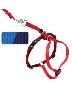 PetSafe Come With Me Kitty Harness Small, Royal