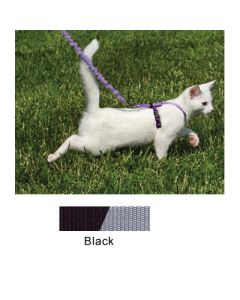 PetSafe Come With Me Kitty Harness Small, Black