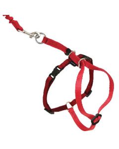 PetSafe Come With Me Kitty Harness Medium, Red