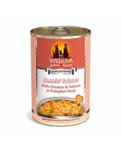 WERUVA Classic Jammin� Salmon with Chicken & Salmon in Pumpkin Soup Dog Food 14 oz.