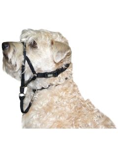 Coastal Walk'n Train! Dog Head Halter Black Small