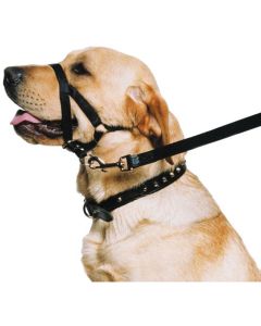 Coastal Walk'n Train! Dog Head Halter Black Extra Large