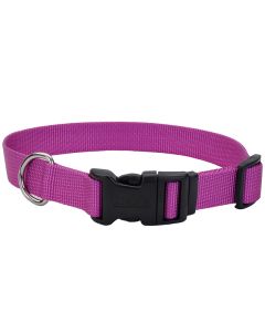 Coastal Adjustable Dog Collar with Plastic Buckle Orchid 5/8" x 10"-14"