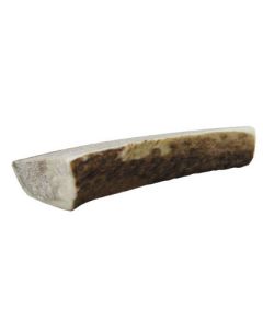 SM Sliced Elk Antler 