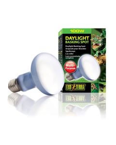 Exo Terra Daylight Basking Spot 100w