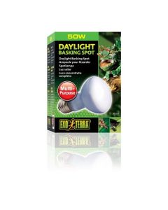Exo Terra Daylight Basking Reptile Spot Lamp 50W