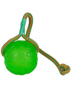 Starmark Swing n' Fling Chew Ball Dog Toy