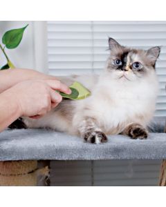 Coastal Safari Shed Magic De-Shedding Tool for Cats