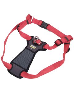 Coastal Walk Right! Red Harness Large (24"-38")
