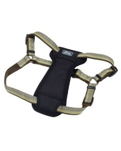 Coastal K9 Explorer Reflective Adjustable Padded Dog Harness Fern 1" x 20" -30"