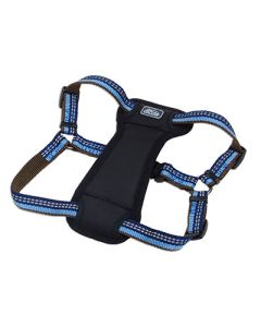 Coastal K9 Explorer Reflective Adjustable Padded Dog Harness Sapphire 1" x 20" - 30"