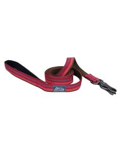 Coastal K9 Explorer Reflective Scissor Snap Berry Lead 1" X 6'