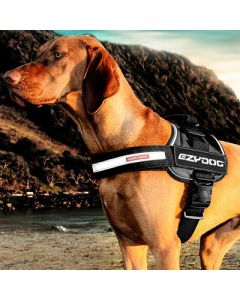 EzyDog Convert Harness Medium