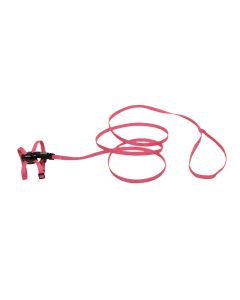 Coastal Li’l Pals Adjustable Kitten Harness and Leash Combo Neon Pink