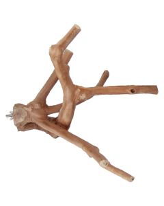 A & E Cage Company Java Wood Multi Branch Bird Perch Medium