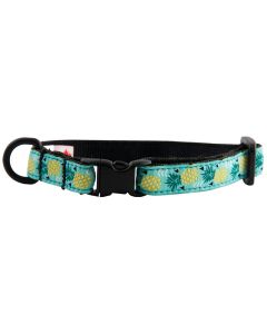 RC Pet Products Kitty Breakaway Pineapple Parade Collar