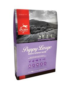 Orijen Large Breed Puppy Biologically Appropriate Dry Dog Food 13 lbs.