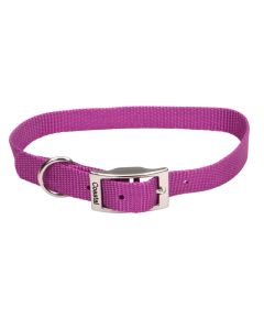Coastal Single-Ply Dog Collar Orchid 3/4" x 18"
