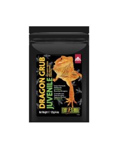 Exo Terra Dragon Grub Juvenile 4.4 oz