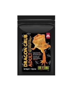 Exo Terra Dragon Grub Adult 4.4 oz