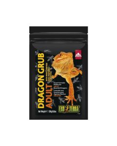 Exo Terra Dragon Grub Adult 8.8 oz
