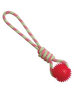 SnugARooz Spike-O-Mite 16 in
