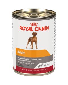 Royal Canin Adult Canned Dog Food 13.5 oz.