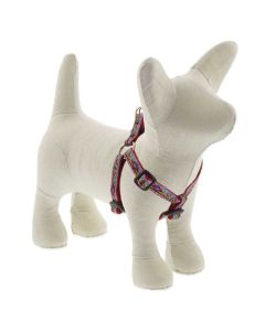 Lupine El Paso No Pull Harness 1" X 26"-38"