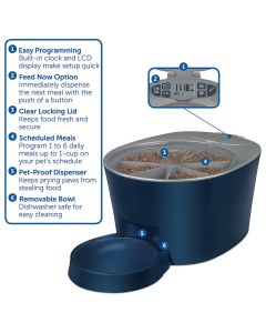 PetSafe Six Meal Feeder