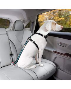 Kurgo Direct to Seatbelt Tether Blue