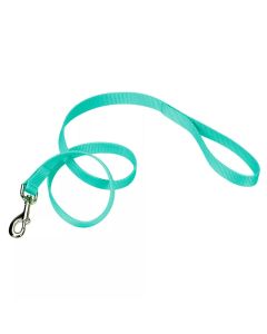 Coastal Single-Ply Dog Leash Teal 3/8" X 6"