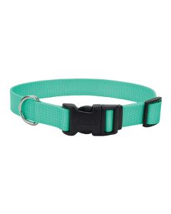 Coastal Adjustalbe Tuff Buckle Teal Collar 3/8" x 8-12"