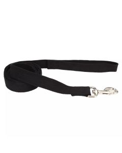 Coastal New Earth Soy Onyx Dog Leash  1" X 6'