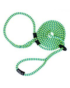 Harness Lead Peacock Blue/Lime Small/Medium 14-40 lbs.